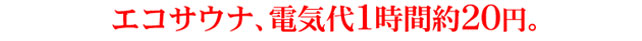 エコサウナ